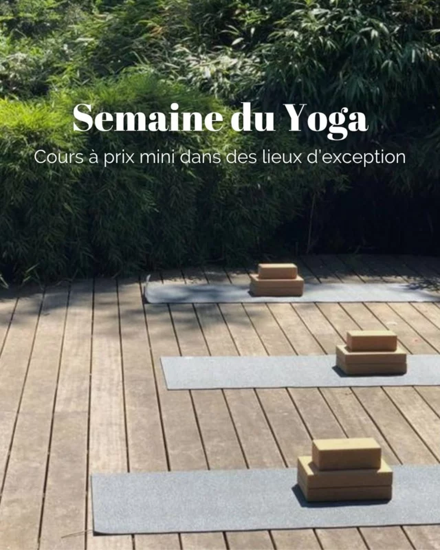 ⚡ Cours à prix mini dans des lieux d’exception pour la semaine du yoga ⚡ 

🎪 Sous la tente berbère du @moia_restaurant - Samedi 14 Juin • Avec Mathilde
👉 Un sublime combo Yoga x Food sur la terrasse du restaurant.

⛵️ Vue sur la Loire - Mardi 17 juin • Avec Laura
👉 Profitez de la vue magique du @seminaire_loire pendant votre cours de yoga Vinyasa !

🧘‍♀️️ Chez June - Vendredi 20 Juin • Avec Marine
👉 Un flow Vinyasa fun, accessible (et sportif !) pour découvrir l’ambiance du studio.

🌿 La mezzanine de @canopee.restaurant - Samedi 21 Juin • Avec Ariane
👉 Une séance pleine de lumière, sous la verrière du restaurant. Option Brunch à 8€ à réserver directement auprès du restaurant (lien en commentaire)

🗓️ Réservations directement sur notre site : chezjune.fr/planning

Vous venez ? 🥰

#semaineduyoga #coursyoga #yoganantes #yogaday #studioyoga #chezjune