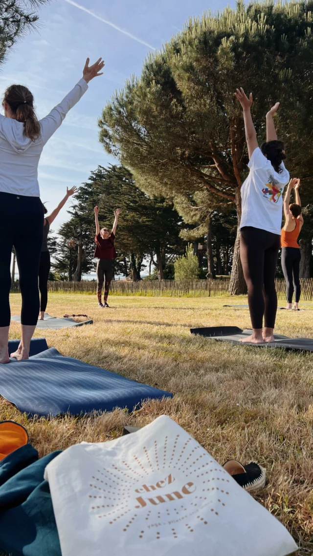 ✨ Retour sur notre dernier séjour bien-être✨

Une maison sur une île
Du yoga 
Du Pilates 
Du mouvement connecté à la nature
De délicieux repas 
…
Un groupe unique
Des échanges 
Du partage 
De la douceur 

—— 
🙏 MERCI 
aux participantes pour votre confiance
à notre équipe Jeanne, @emmadanslacuisine et @live_something_different 
à nos partenaires : @lesjuspaf @muzzu.shop 

🌞Prochaines éditions : 

➡️ du 10 au 14 juillet: Yoga Pilates et Fitness avec @suivezlabaladeuse 

➡️ du 25 au 28 septembre : Yoga automnal avec @juliettedelatrocheyoga 

👉 Il reste quelques places !! 
📍Lien en bio

Vous nous rejoignez ?

#yoganantes #retraiteyoga #retraitepilates #retraiteyogapilates #retraiteyogafrance #chezjune #yogavannes #yogabretagne #pilatesretreat